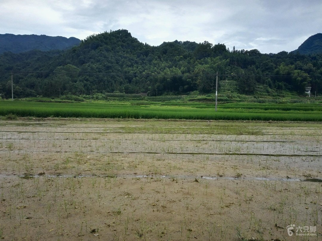 肥田乡天气预报更新通知