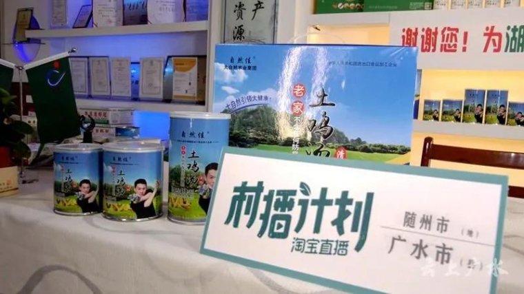 广水市发展和改革局最新发展规划深度解析