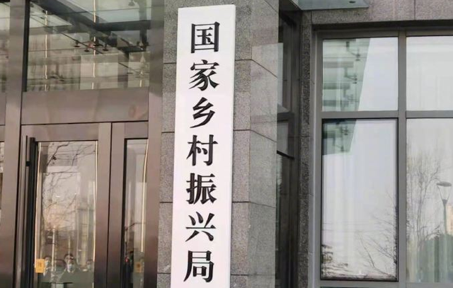 杜家寨村委会最新交通动态