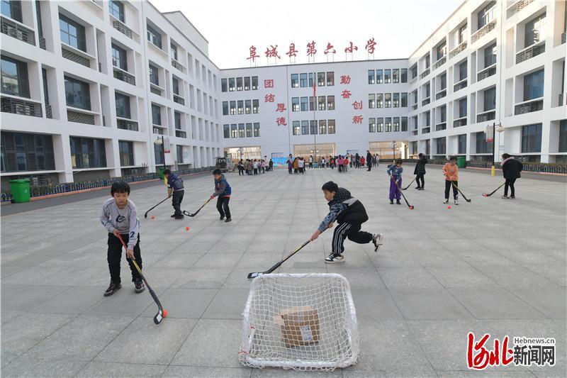 阜城县小学最新招聘启事概览