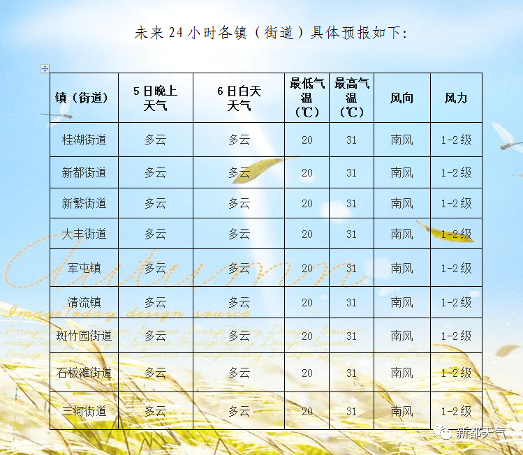 张新街道天气预报详解