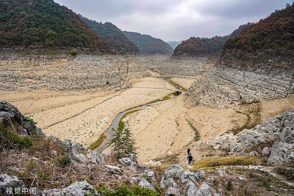 东山区统计局最新项目概览与数据分析报告