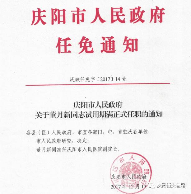 新民市教育局人事任命重塑教育格局，引领未来教育之光