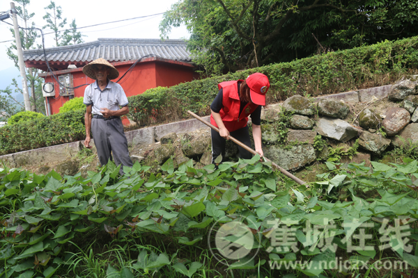 金涵畲族乡新项目，引领地方发展的强大动力源泉