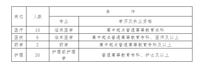 殷都区人民政府办公室最新招聘公告概览