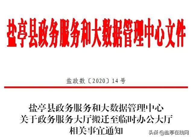 盐亭县数据和政务服务局最新项目进展报告，工作进展与成果概览