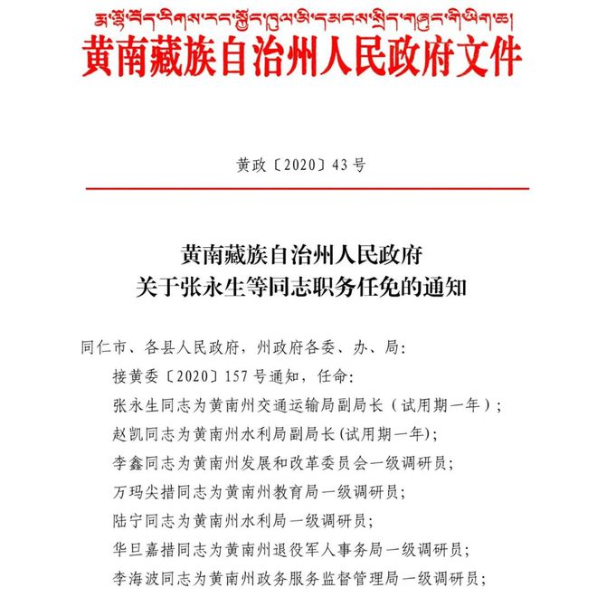 新市区文化局人事任命动态深度解析