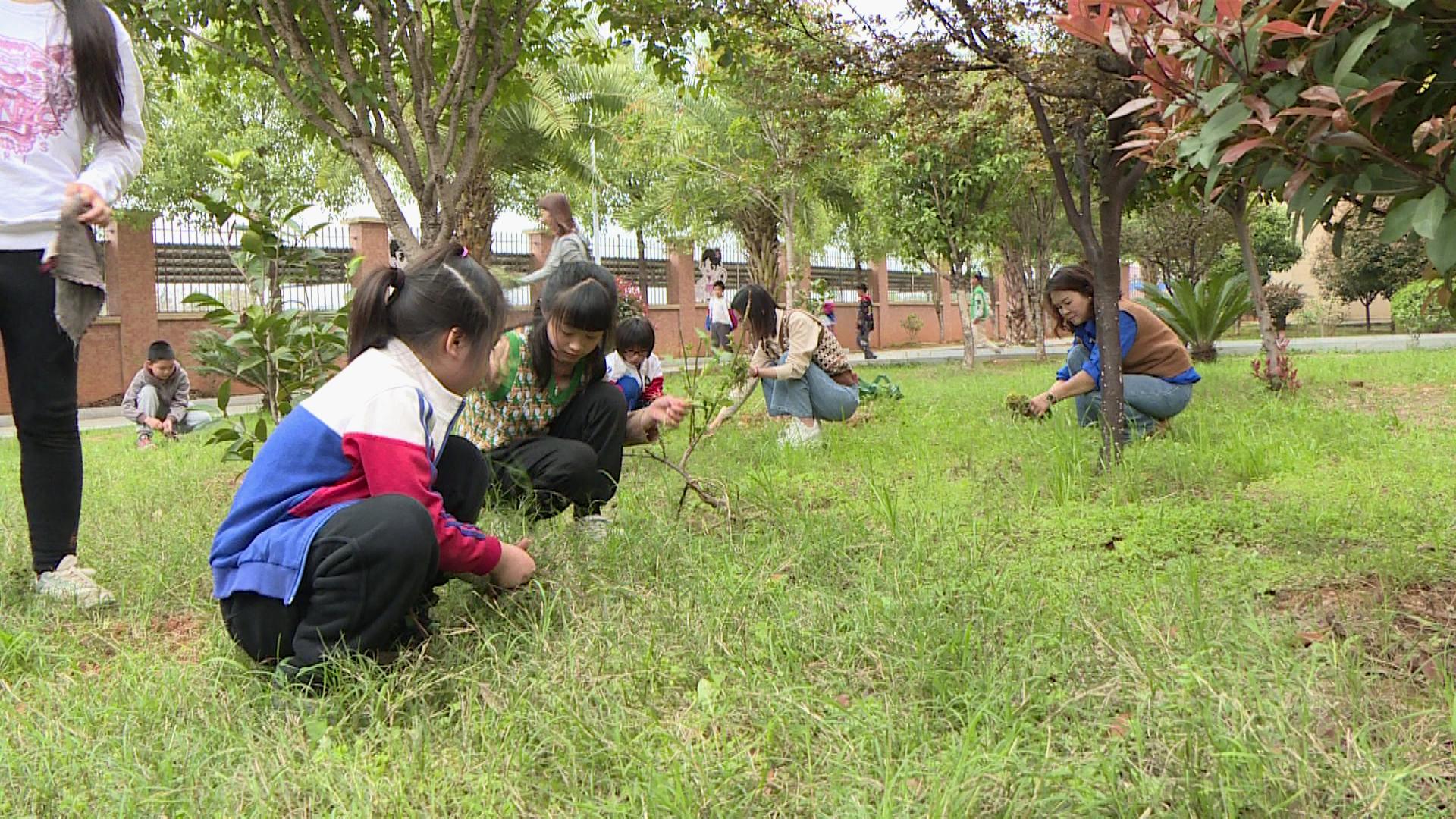 衡南县小学未来发展规划概览