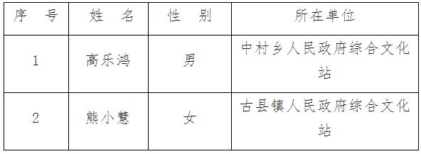 永丰县文化局最新招聘信息解读与招聘细节探讨