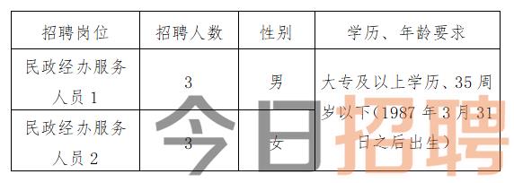 淅川县民政局最新招聘启事概览