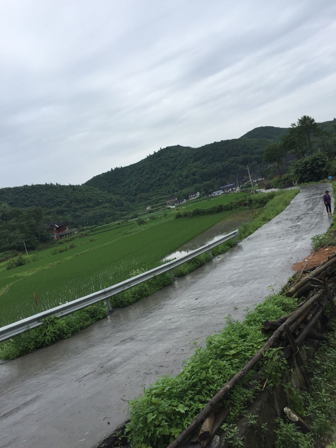 长桂乡天气预报更新通知