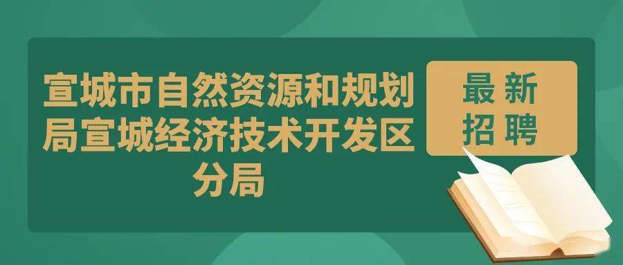 广德县自然资源和规划局最新招聘公告解析