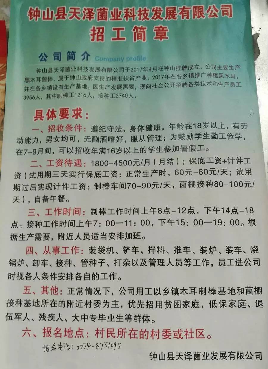 地普村最新招聘信息全面解析