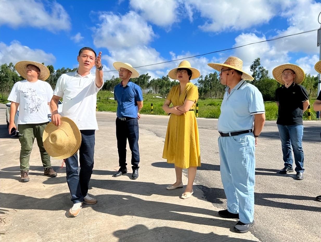 马路村委会最新动态报道