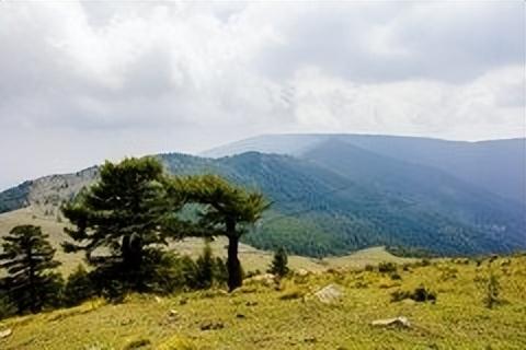 靠山乡发展规划揭秘，打造繁荣宜居乡村新面貌