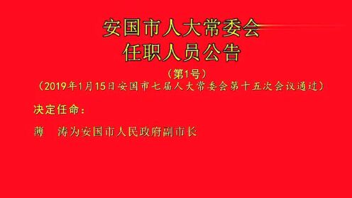 安国镇最新人事任命动态概览