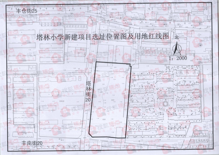 桥东区小学未来发展规划展望