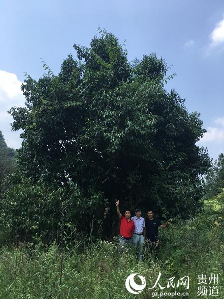 桐梓县自然资源和规划局最新发展规划概览